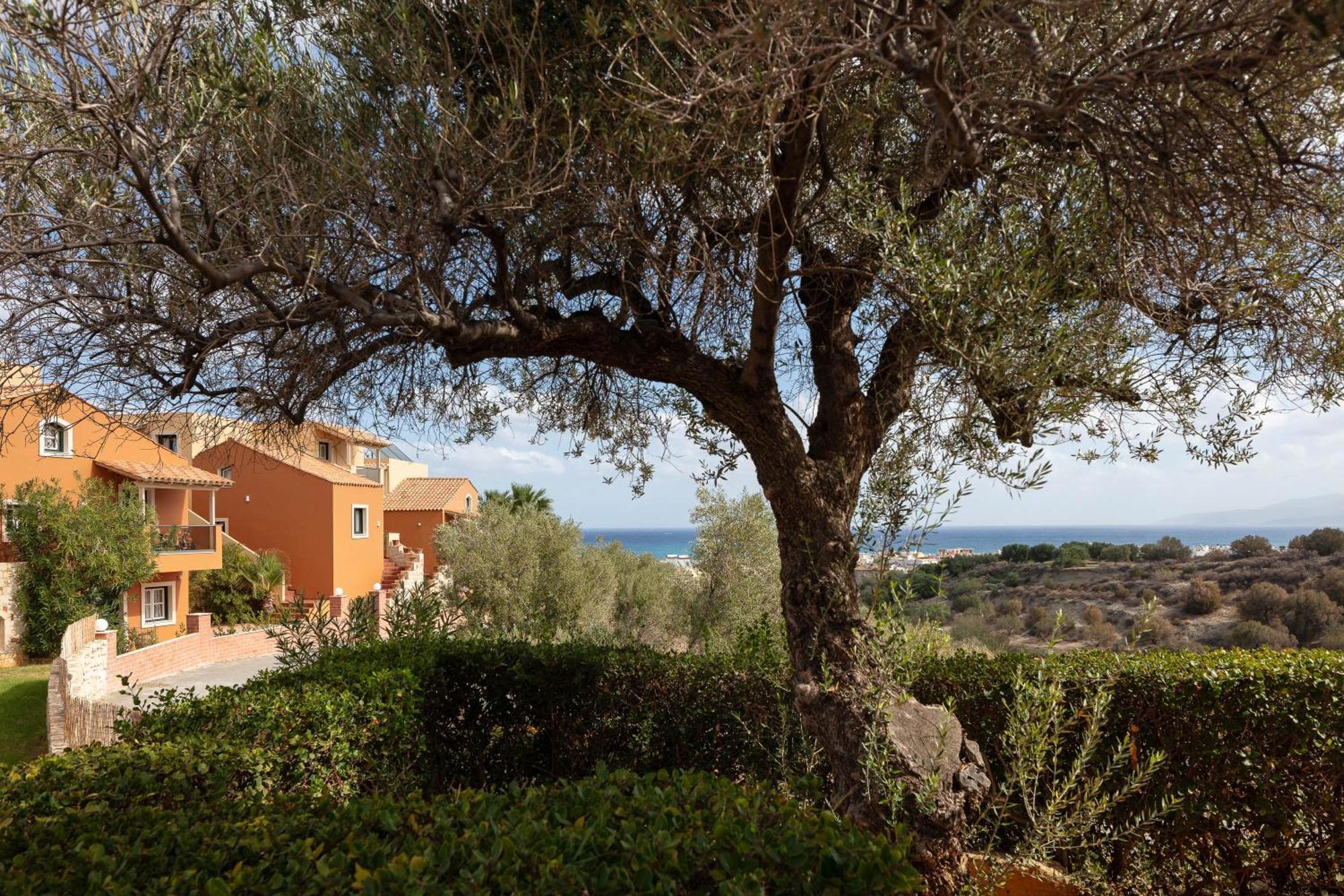 Dia Apartments Hersonissos  Exteriör bild